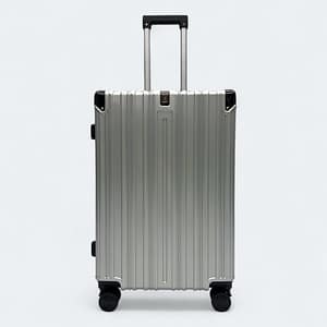 317 Lock 20 Inch Cabin Luggage Perfect For Air Travel & Short Trips Color Silver