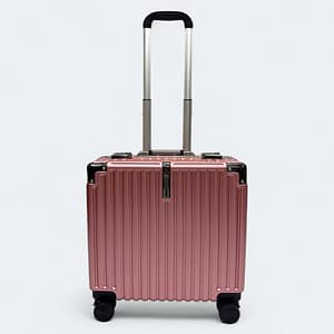 Premium 18" Cabin Dual Lock Luggage Color Pink 317